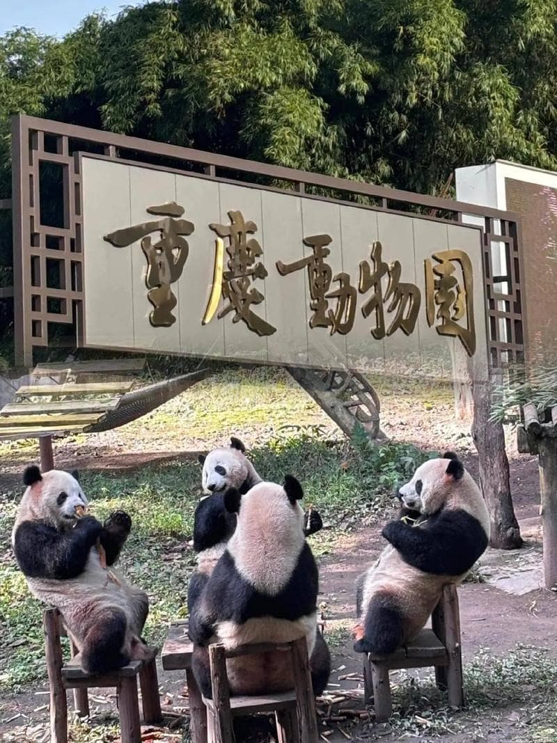 带娃游重庆：亲子友好景点与母婴室分布全攻略