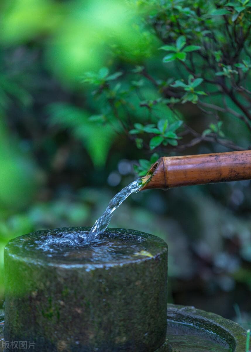 活性水是什么水（喝什么样的水对身体最好？）