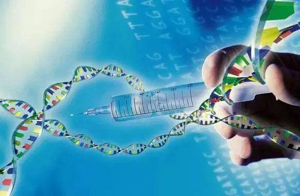 生物科技革命：基因编辑技术的前沿与挑战