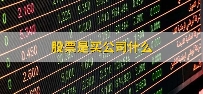 股票是买公司什么？新手必读的股票投资指南