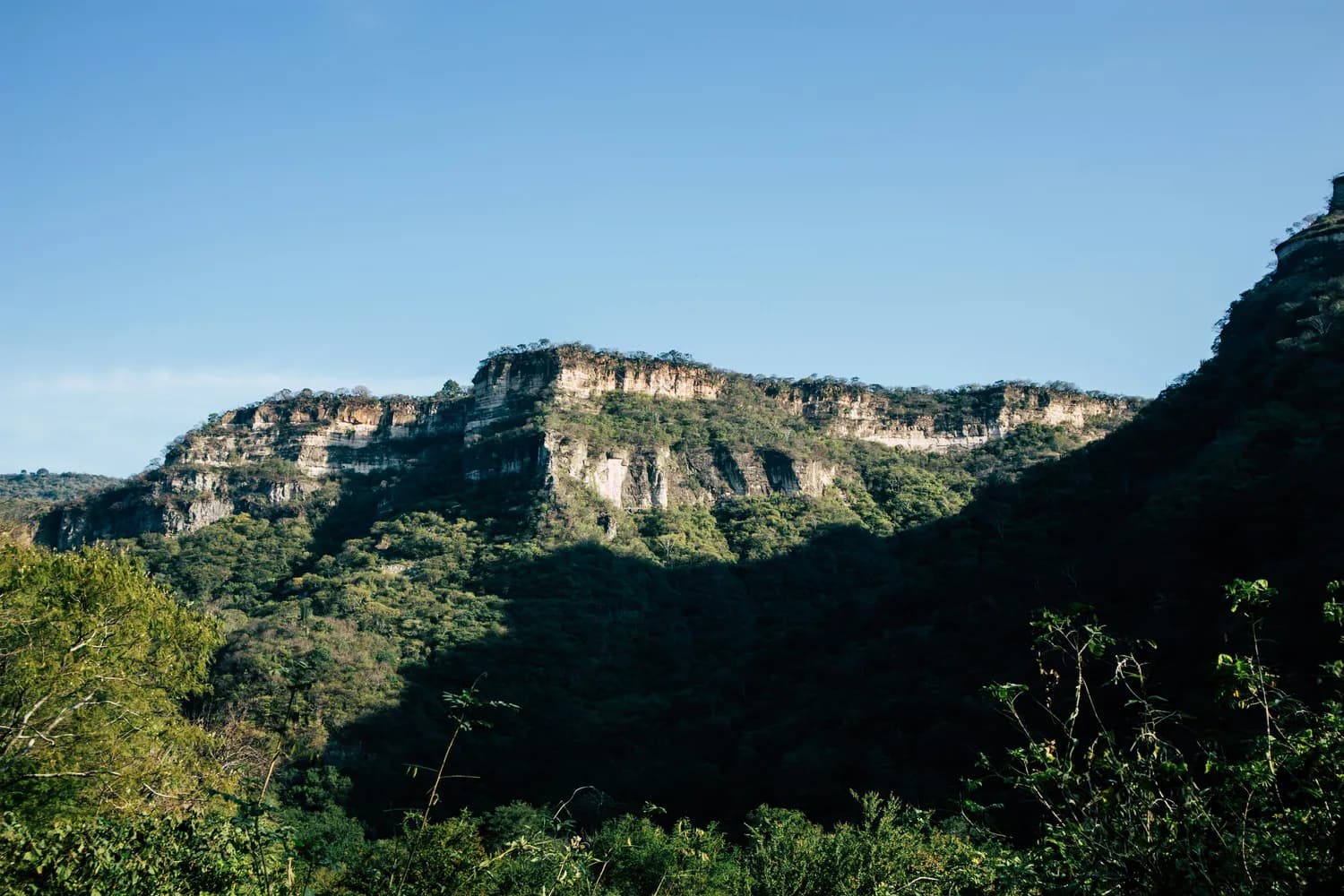 湖北新晋4A景区：樟蜜小镇·白崖山景区