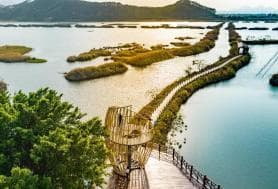 汕尾海丰美食全攻略：从金针菜到油占米，探寻岭南特色美食