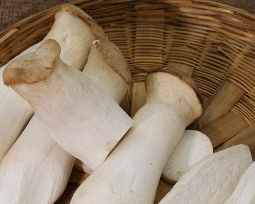 杏鲍菇能否生食？从食品安全到营养价值的全面解析