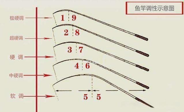 台钓竿选购指南：从参数解读到两款入门品牌推荐