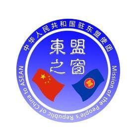 2024年前11个月中国—东盟贸易简况