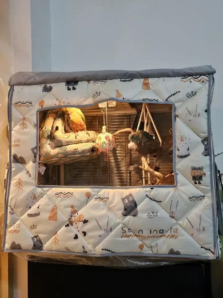 新手养鹦鹉必备用品清单