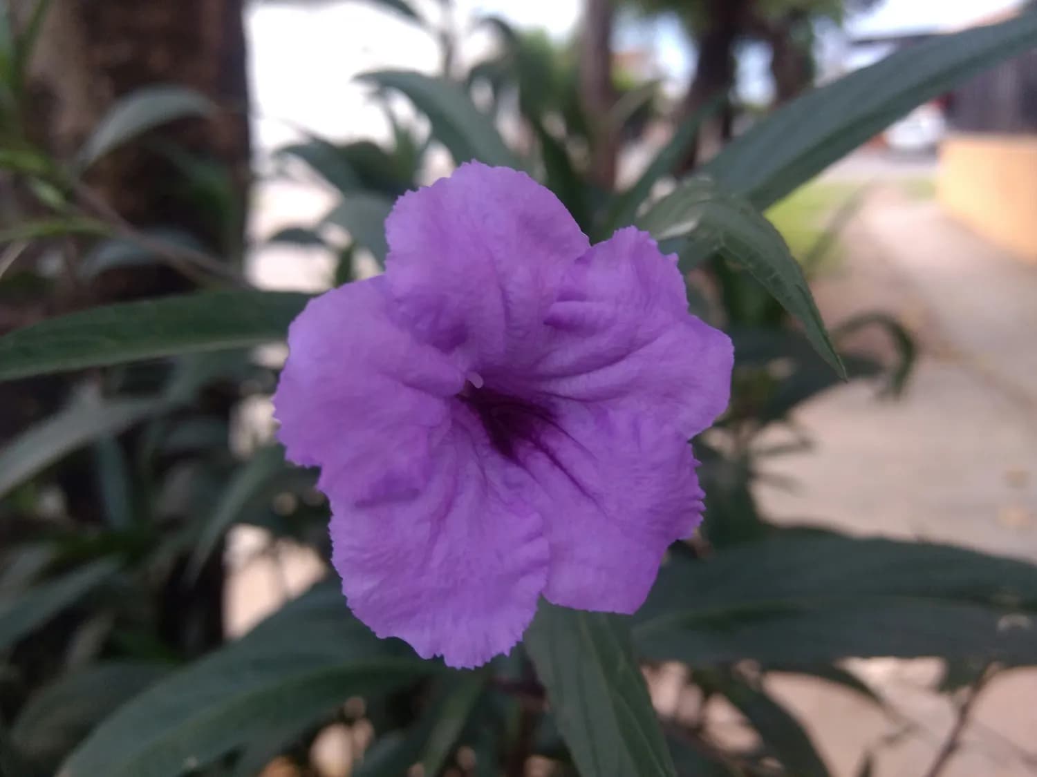 元旦亲子活动：花样馒头DIY