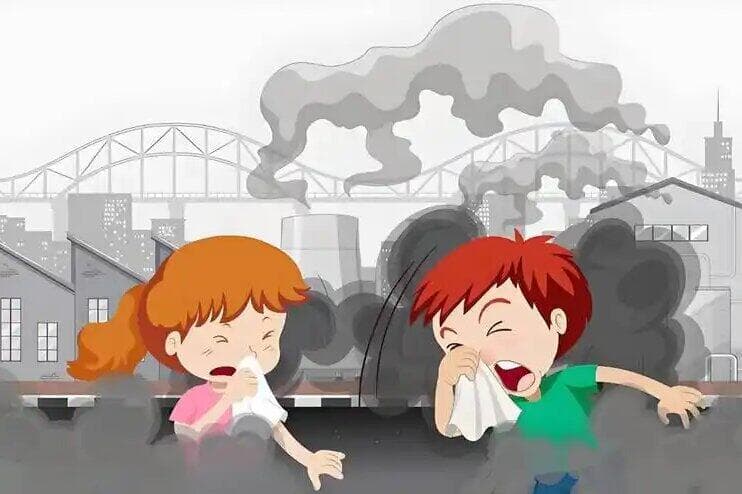 多维度探索：环境对类风湿病情的影响