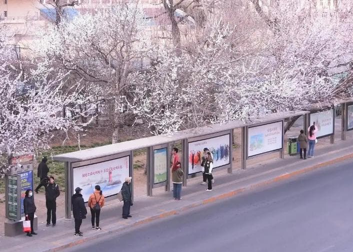 大连文明新风助力旅游升温，爱心摆渡与美景成网红打卡新热点