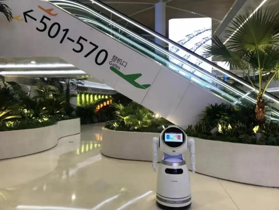 “人工智能+”行动，如何推动生产力深层次变革