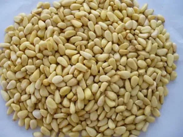松子仁：既是零食也是药，上调心脑，下治便秘，中养肝肺，却不被重视！