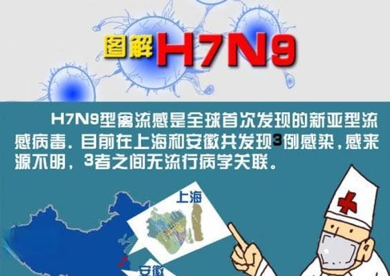 禽流感如何预防？掌握预防知识和措施是什么？
