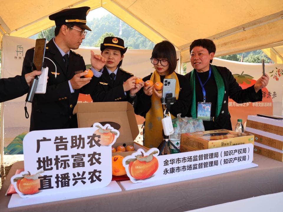 让山里货更出圈！浙江“广告助农”带动农产品销售增长26.6%