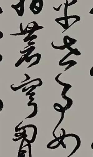 胡维平草书中的诗意世界