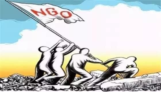 NGO与NPO：概念、区别与联系