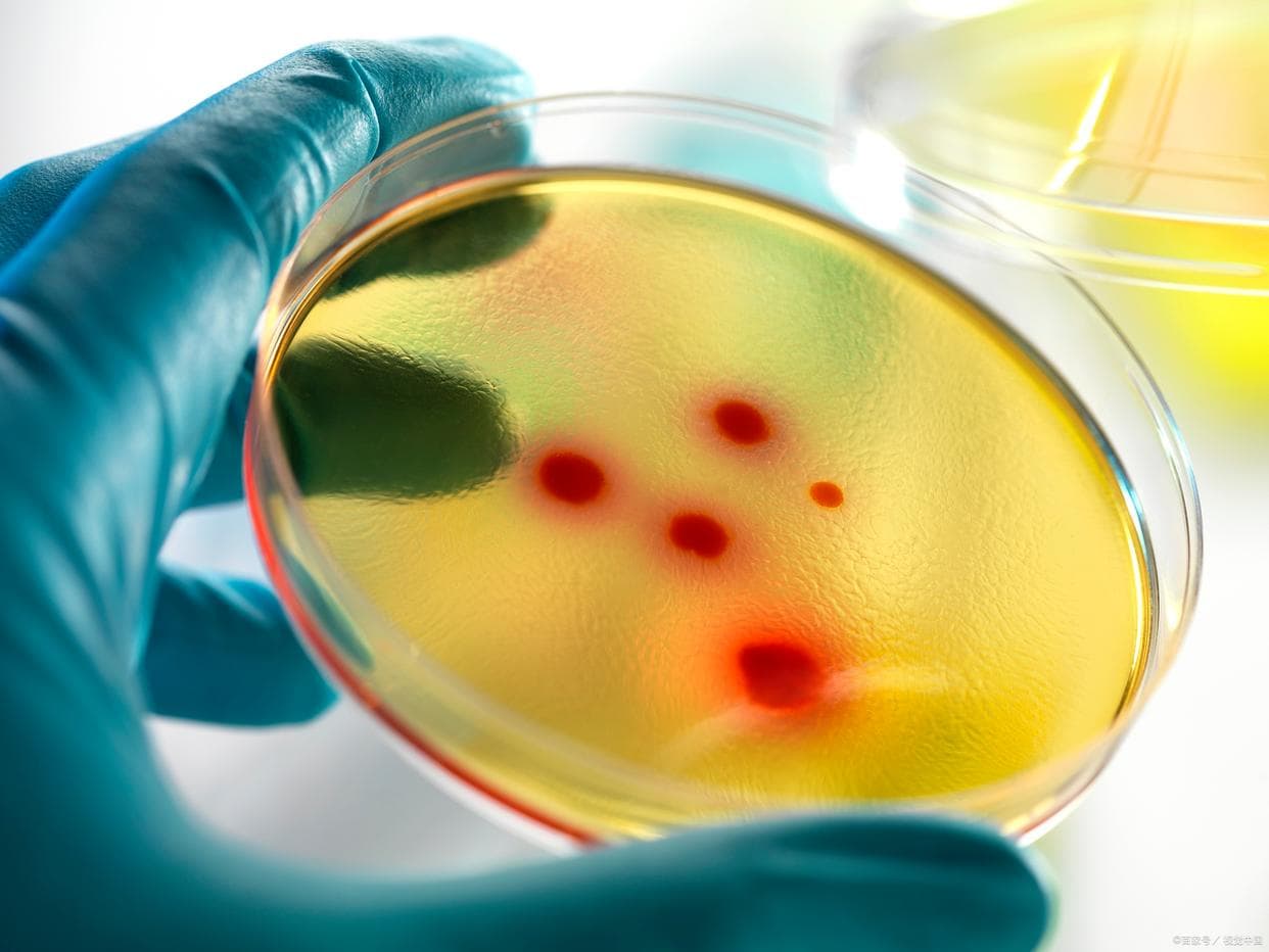 微生物菌种甘油保藏教程及操作要点