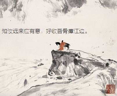 知汝远来应有意，好收吾骨瘴江边。全诗意思及赏析