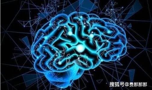 为什么有的癫痫患者会反复发作，应该怎么办