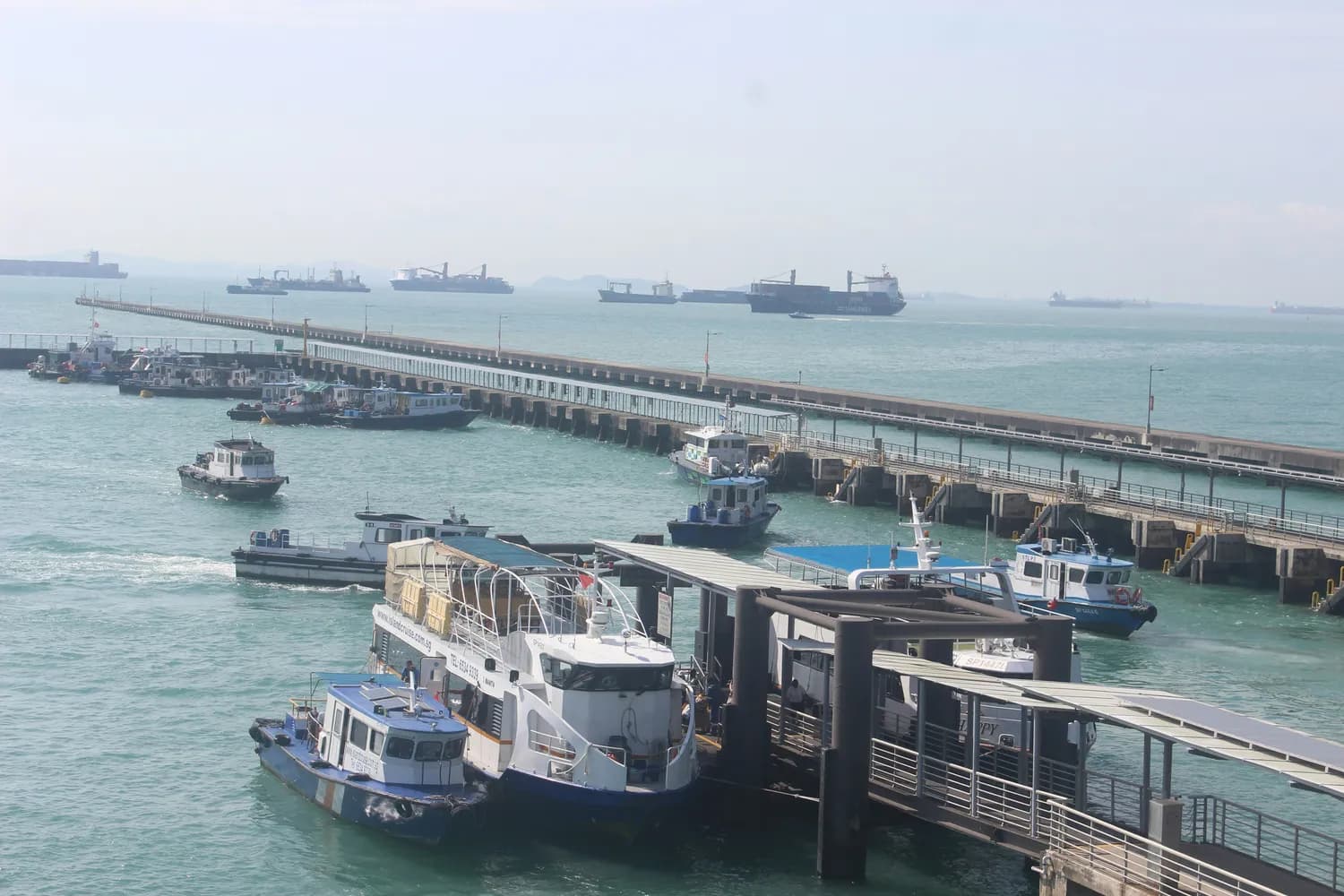 2025年春运海口三港车辆通行全攻略：进港路线、待渡区域及注意事项