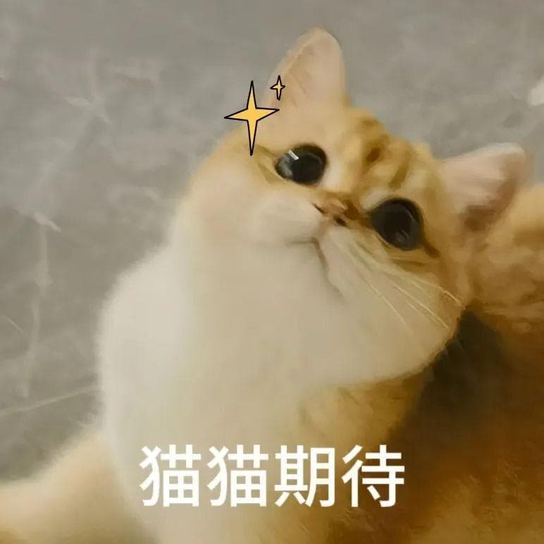 武汉出发坐高铁去看海的8个城市推荐！