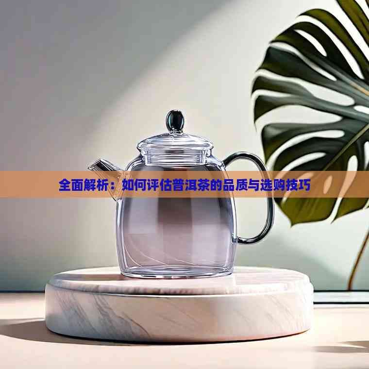 普洱茶品质鉴别全攻略：从外观到口感的全方位解析