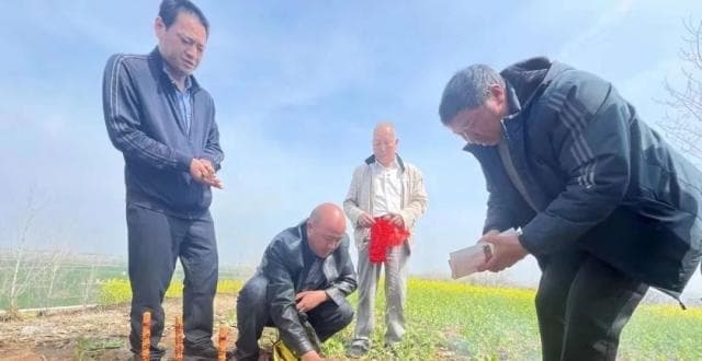 迟到86年，我们找到100份台儿庄战役阵亡通知书，誓要带他们回家！