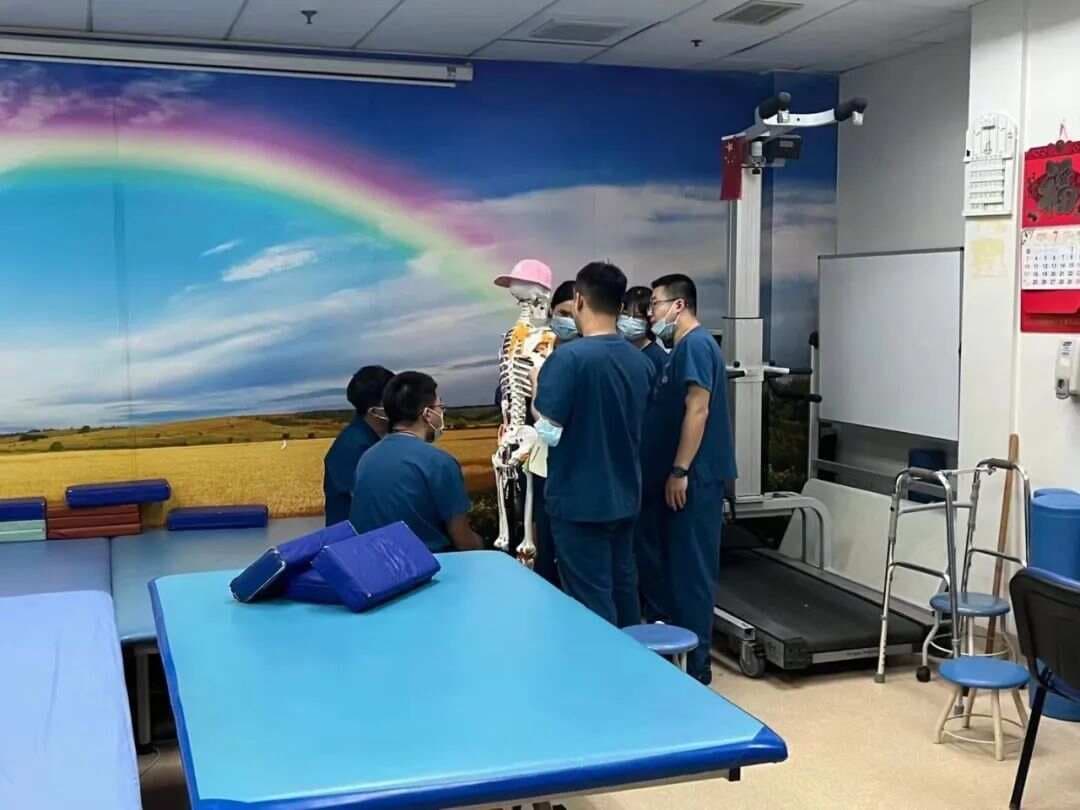 三边孔与四边孔：人体解剖学中的重要结构
