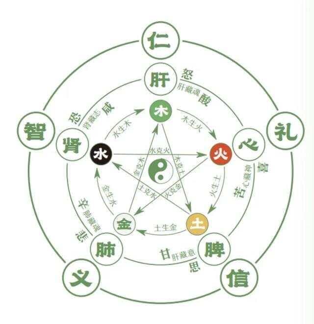 家居风水布局：传统智慧与现代健康生活的完美融合