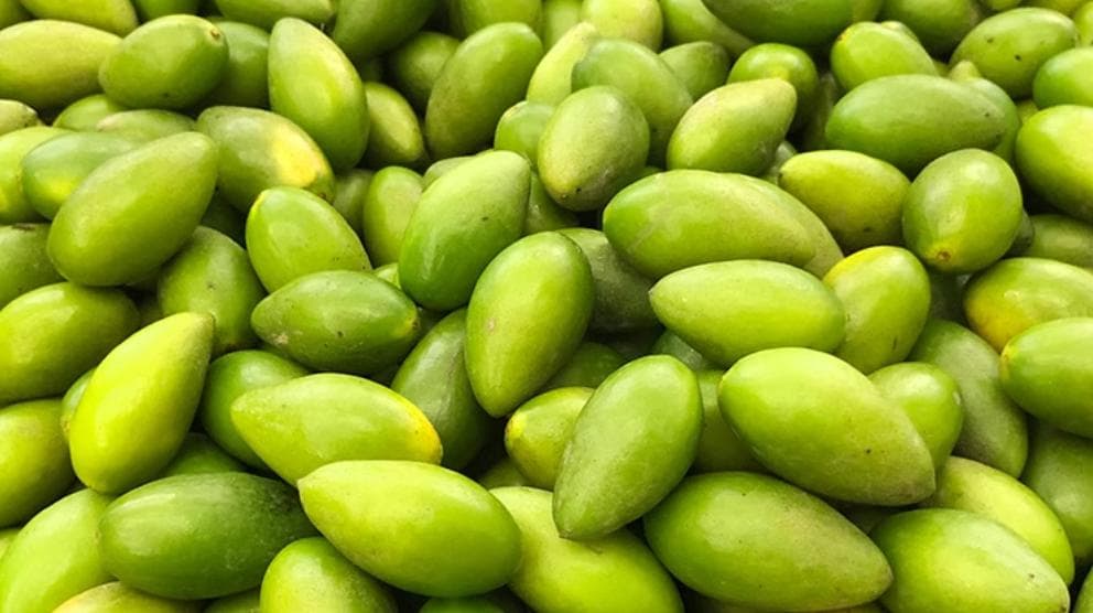 橄榄的药用价值和功效与作用以及营养价值