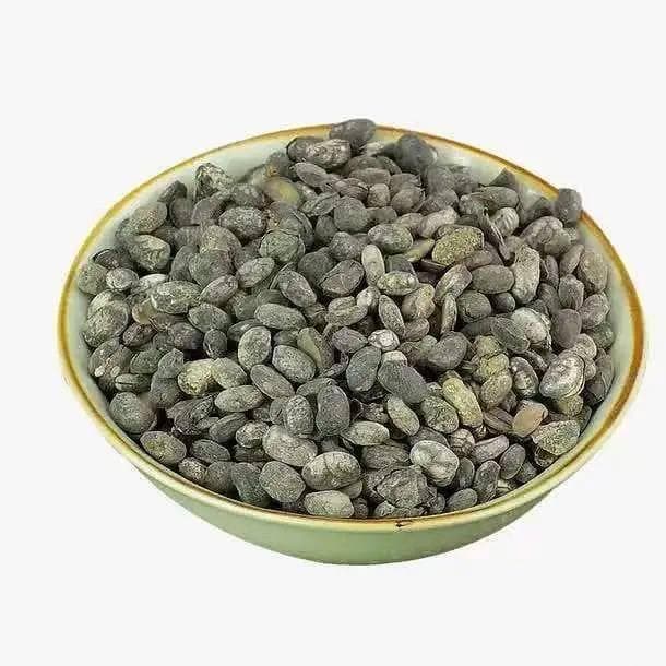 淡豆豉：传统中药的多效良方