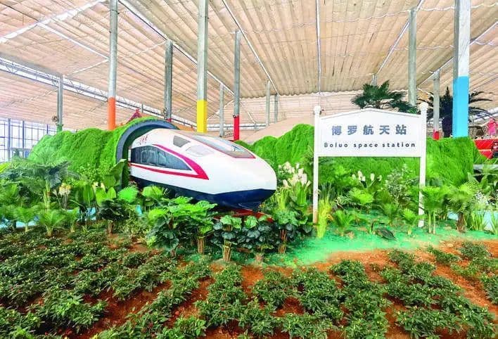 博罗湖镇：奋力谱写“宜居宜业宜工宜游”新篇章