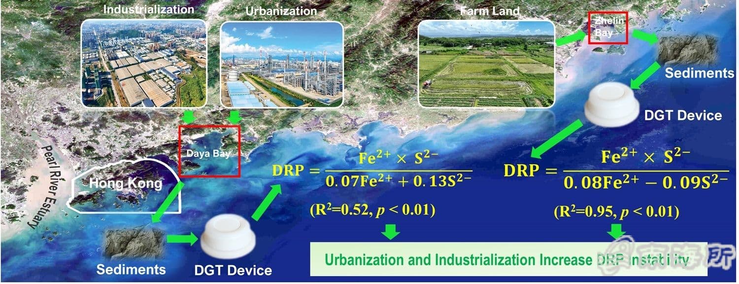 南海所等揭示沿海工业化与城市化对海洋磷循环稳定性的影响