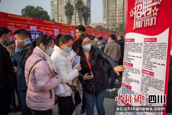 眉山：家门口的招聘会人气旺