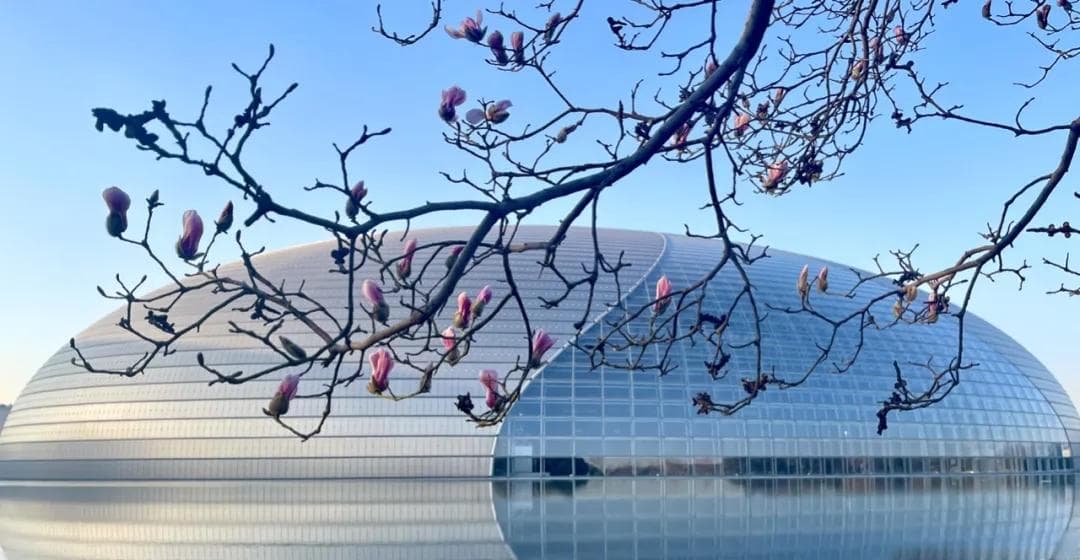 水上生明珠｜城市中的剧院，剧院中的城市