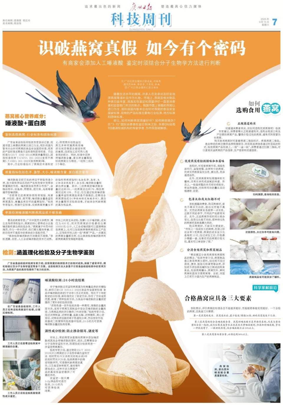 识破燕窝真假 如今有个密码