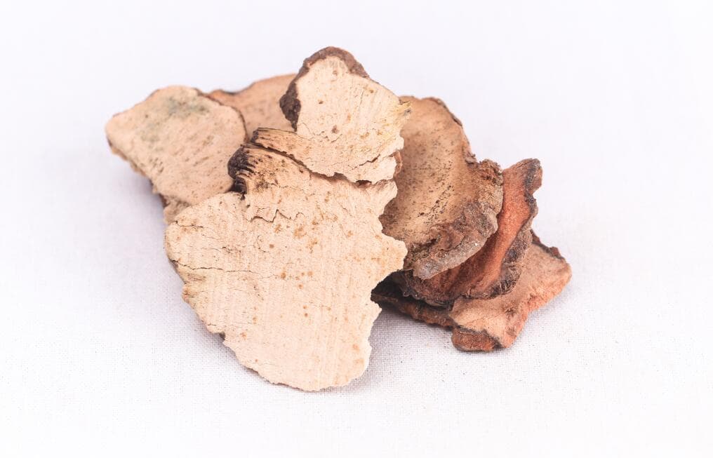 土茯苓的功效与作用