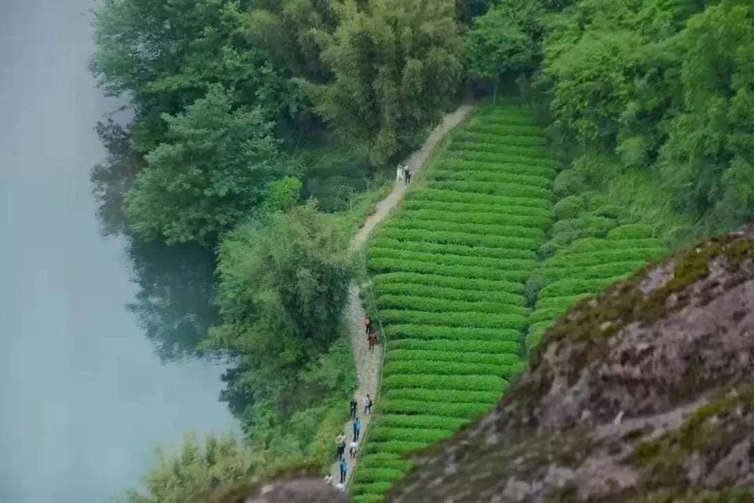 细品武夷岩茶“十全肉宴”