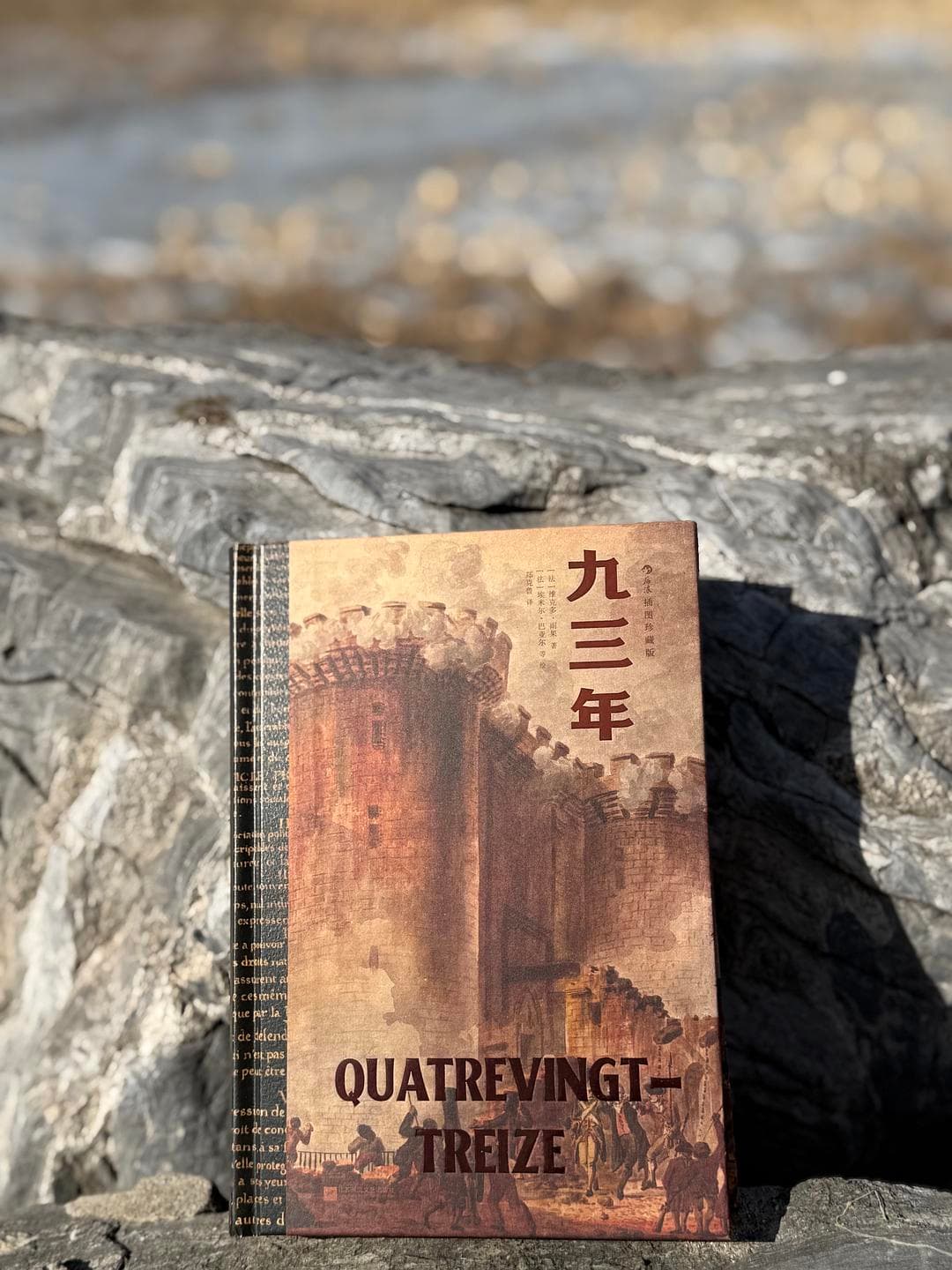 雨果笔下的热血与人性挣扎，开启一场震撼心灵的历史之旅！