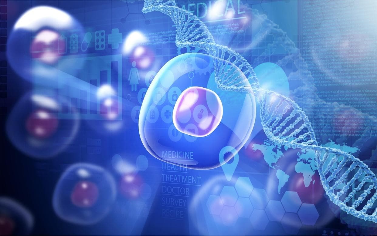 生物科技：塑造未来医疗与生态的新篇章