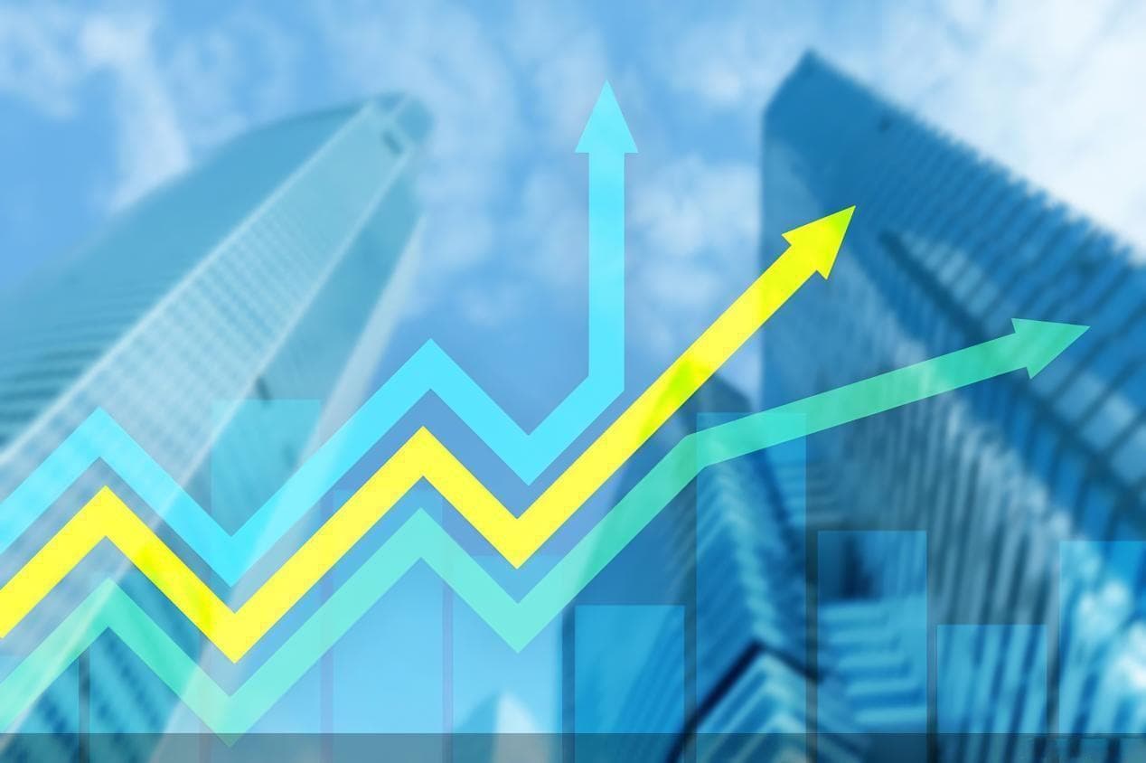 资产扩张与盈利分化，粤籍上市银行“预备队”2024年业绩扫描