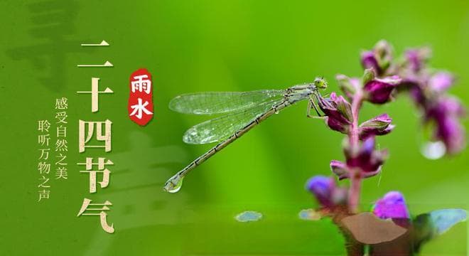 春雨落 万物生，有关春雨诗词，愿你在雨水滋润下，开启美好一年