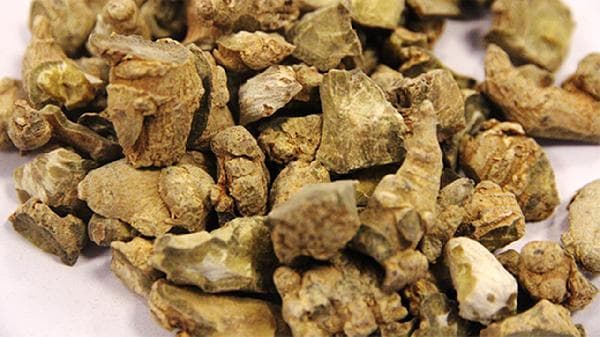 三七的功效与使用指南：从用量到注意事项全解析