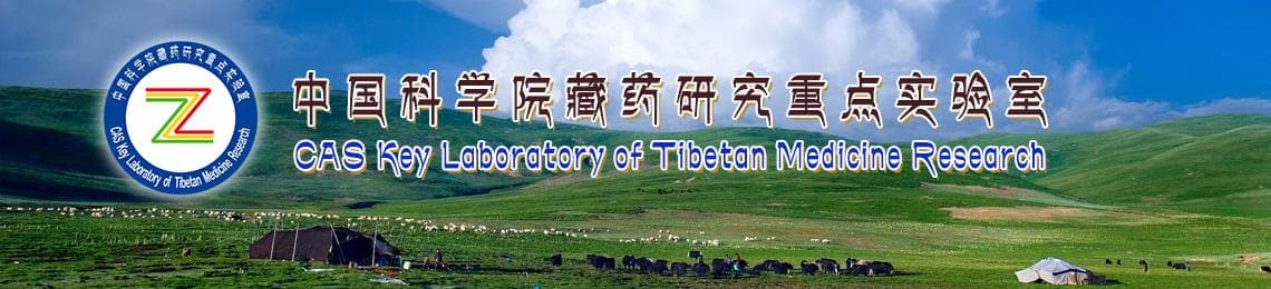 甘草：一种常见的中药材