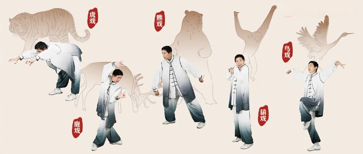 五禽戏各有保健点