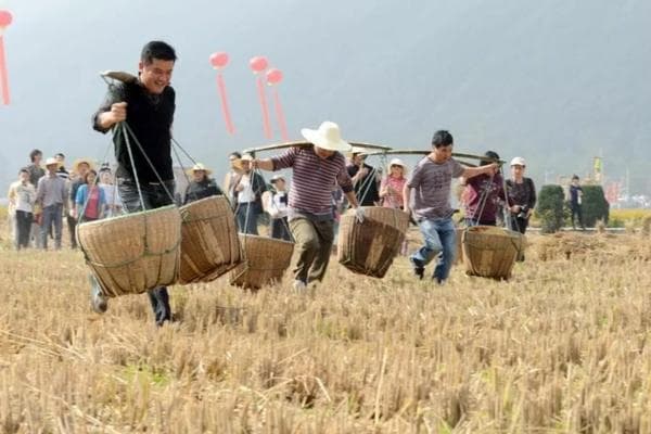 教你辨别催熟草莓：五步挑选自然成熟的草莓