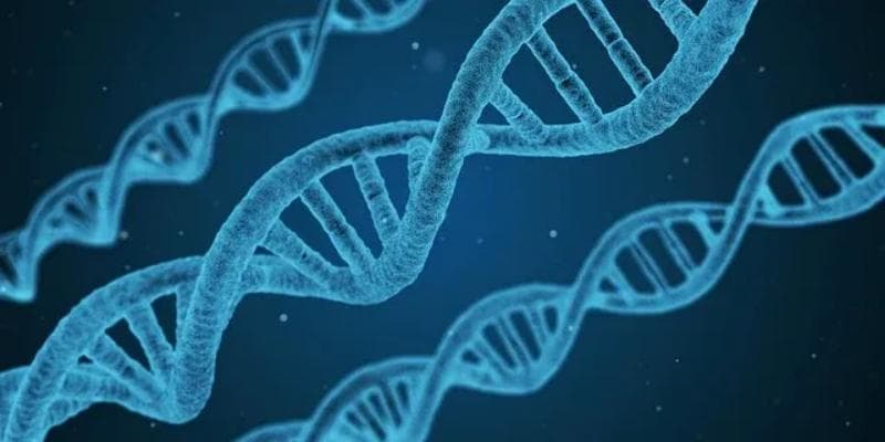 淋巴瘤患者的“基因检测”有哪几种？分别有什么作用？