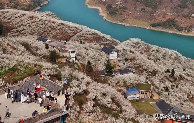 毕节凹河：万亩樱海绘就春日浪漫，邀您共赴梦幻之约！