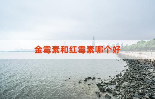 金霉素和红霉素哪个更好？全面比较为您解答