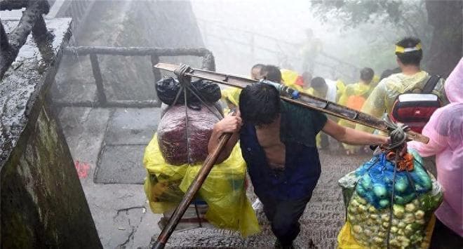 泰山“挑山工”要失业了？工作竟被一只“狗”替代，评论两极分化