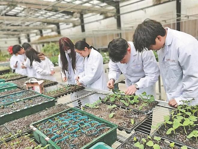 实践教学 让学生更好更快融入职场